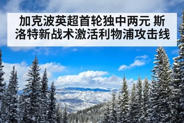 加克波英超首轮独中两元 斯洛特新战术激活利物浦攻击线